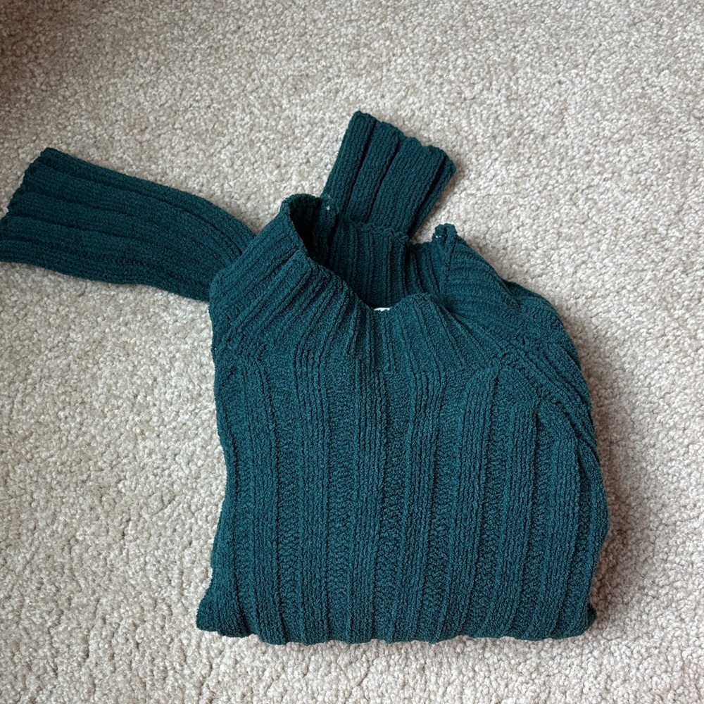 Dark Green Ribbed Turtleneck Cropped Sweater - Women American Eagles